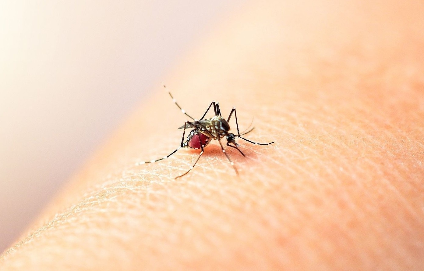 Trieu chung cua benh sot xuat huyet hinh anh