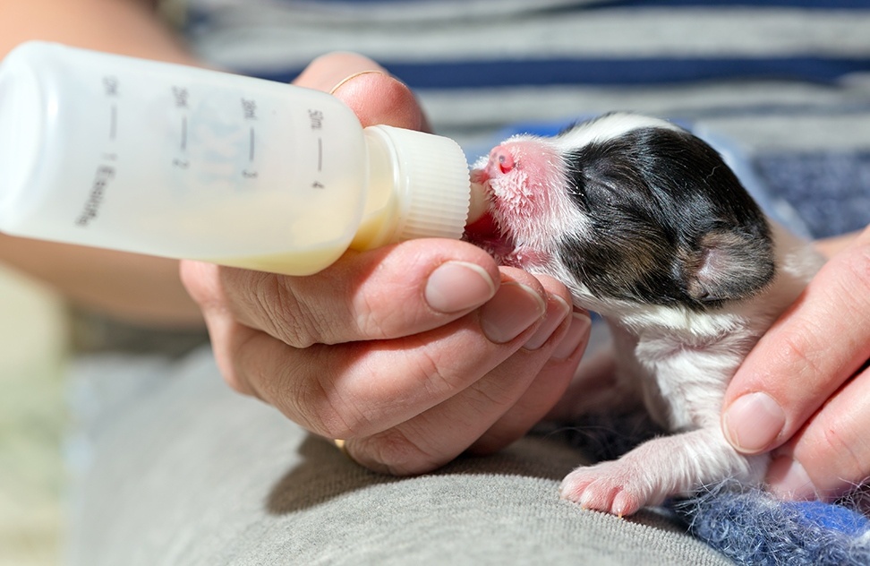 Tre bao ve moi truong anh 6