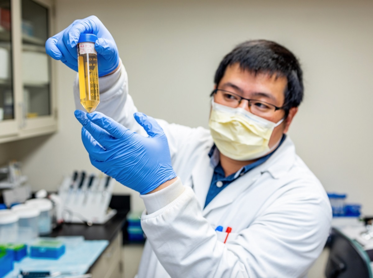 Tim thay khang the co kha nang vo hieu hoa nCoV tren chuot hinh anh