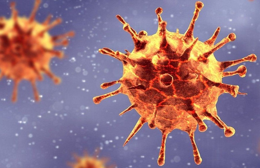 My phat hien bien chung SARS-CoV-2 de lay lan hon hinh anh