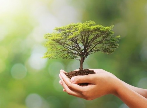 Trai Dat thay doi nhu the nao neu rung bien mat? hinh anh