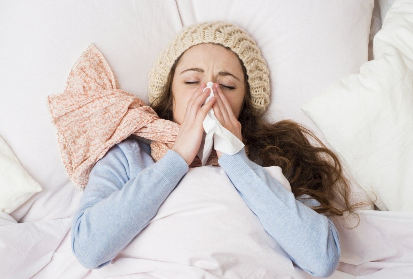 Meo ngu ngon khi bi nghet mui hinh anh