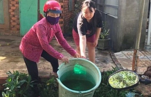 Virus gay sot xuat huyet o Binh Phuoc la chung co doc luc manh hinh anh