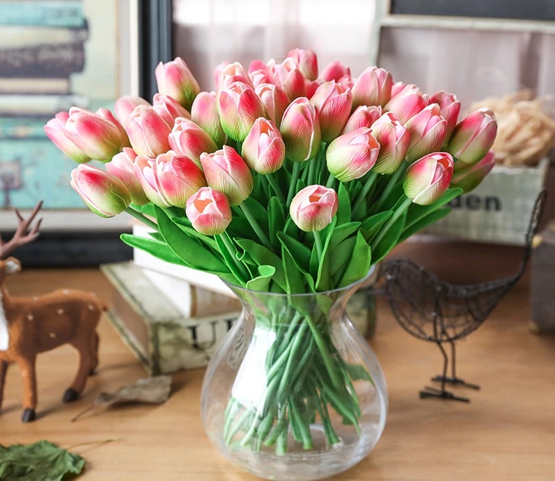 Loai hoa thanh loc khong khi trong nha anh 3