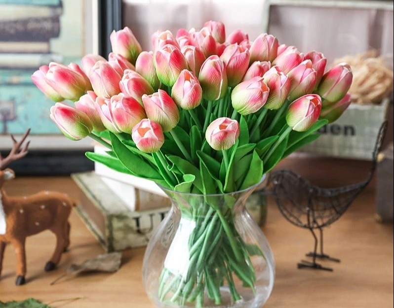 Cac loai hoa giup thanh loc khong khi trong nha hinh anh