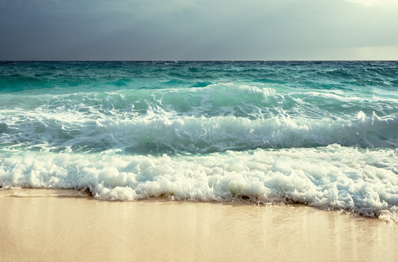 Thuy trieu hinh thanh nhu the nao? hinh anh