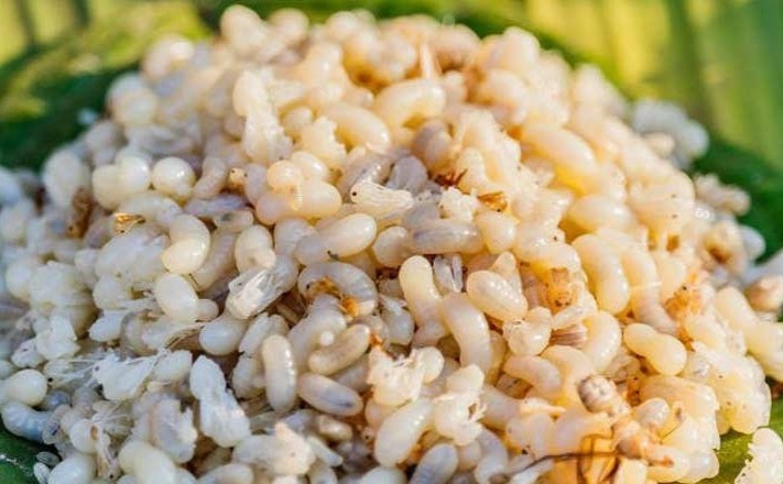 Di ung, man do toan than sau khi an trung kien hinh anh