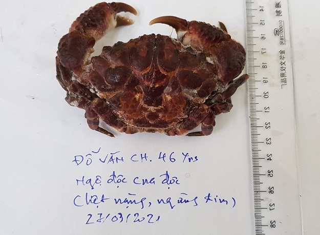 Ngo doc cua mat quy anh 1