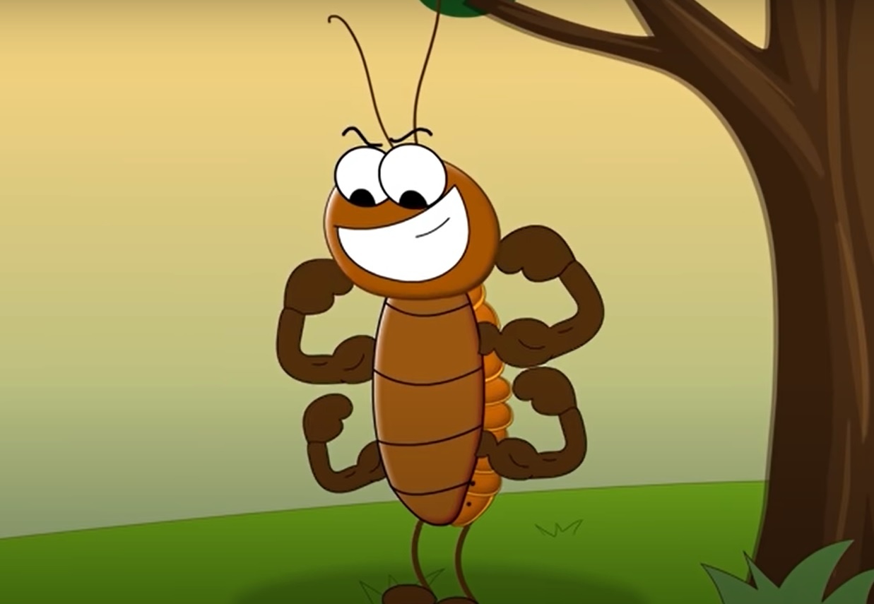 Kha nang song sot cua loai gian hinh anh