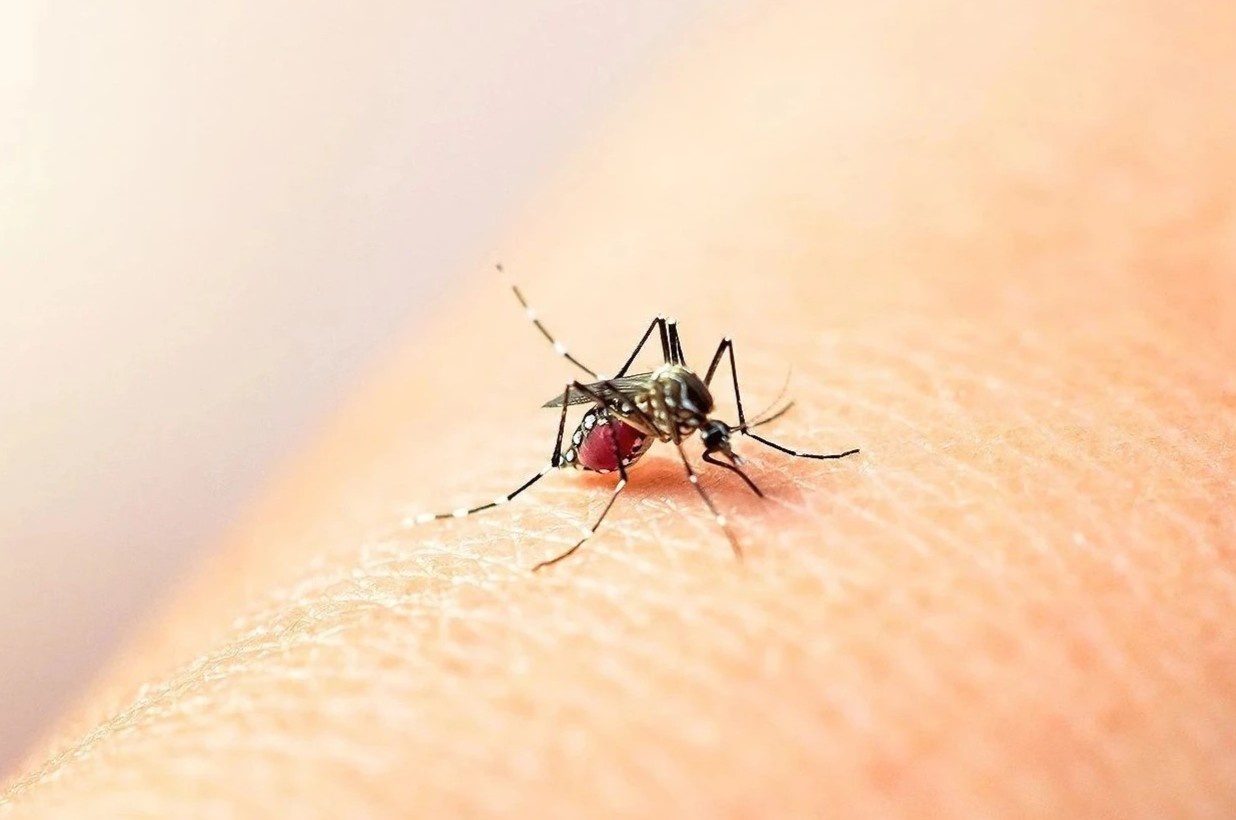 6 quan niem sai lam ve benh sot xuat huyet hinh anh