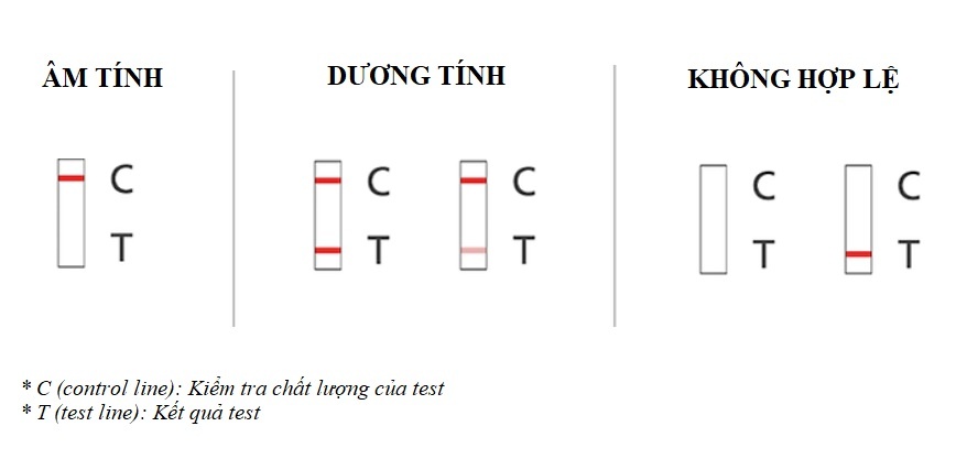Cách đọc kết quả test nhanh Covid-19 ảnh 1 Cach doc ket qua test nhanh Covid-19 anh 1