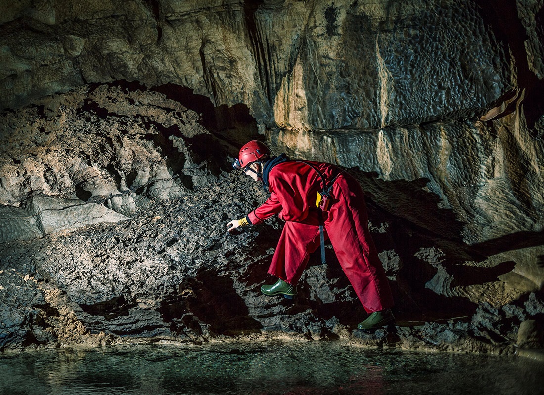 Nghe nghiep cho nguoi huong noi anh 5