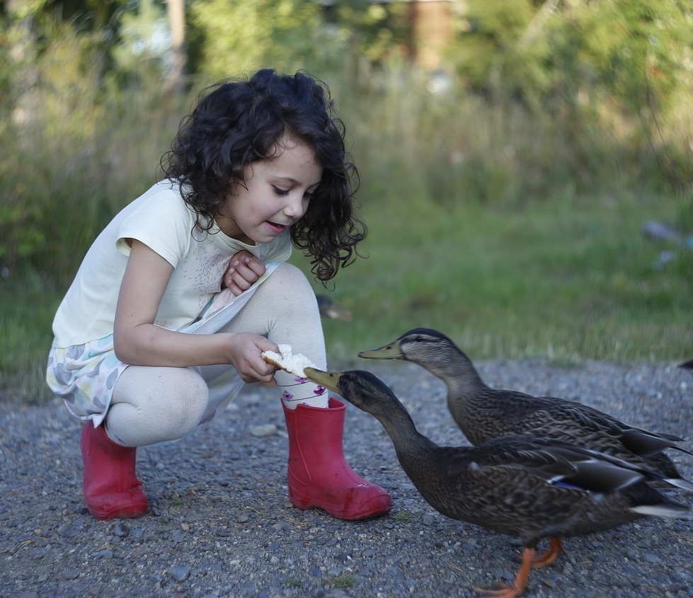 dau hieu cua dua tre nhay cam anh 6