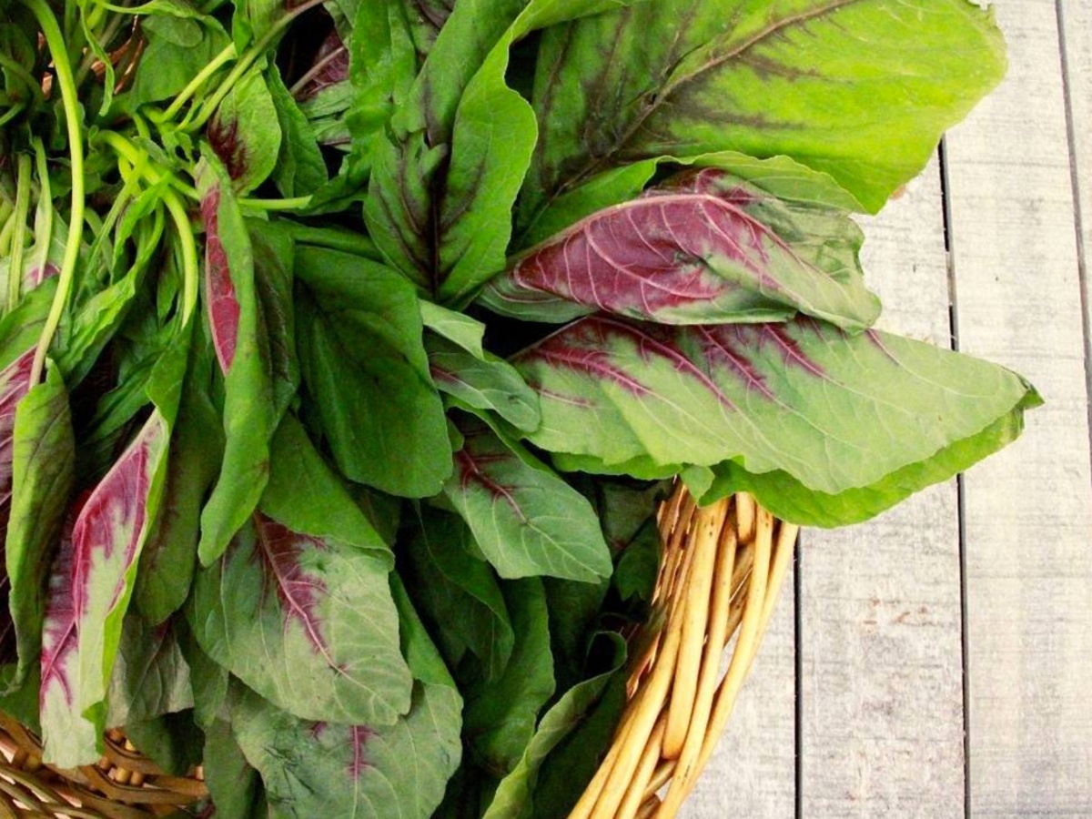 Thuc pham giau canxi anh 7