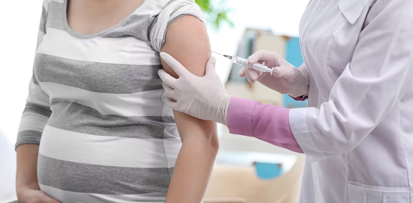 Ngua cum o ba bau anh 1