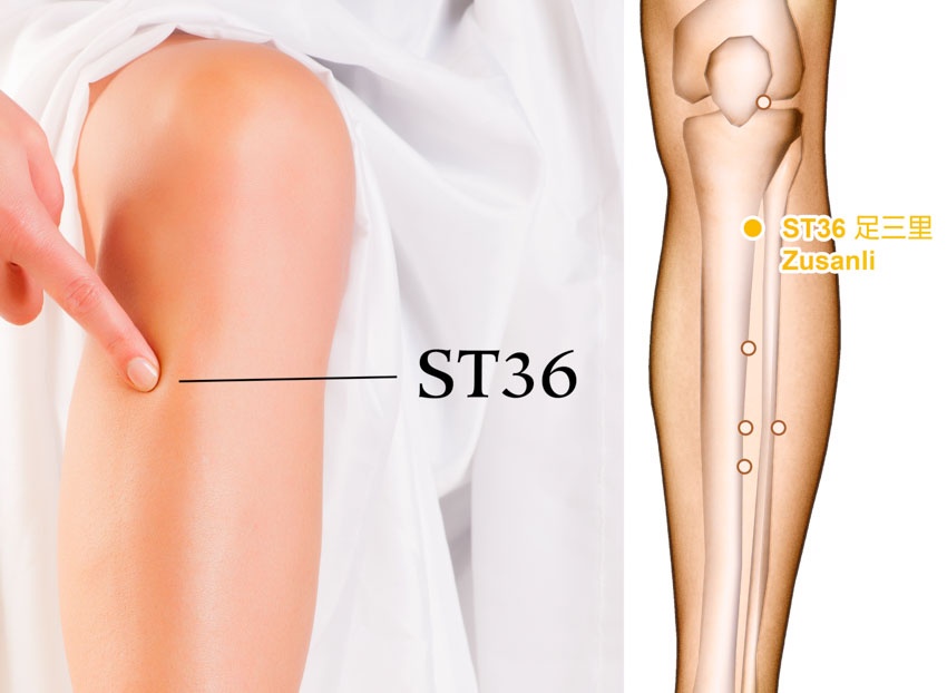 Huyet dao giam can anh 1