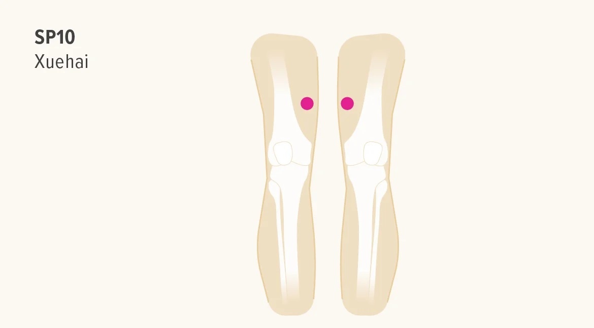 Huyet dao giam can anh 5