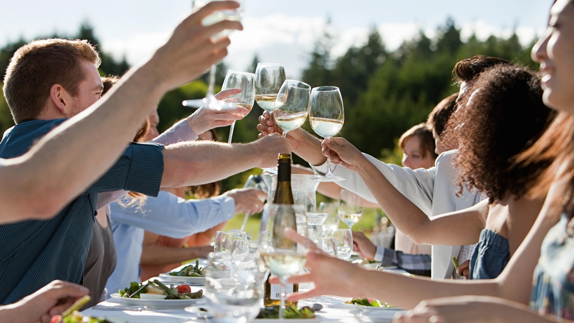 Ngan ngua day hoi anh 1