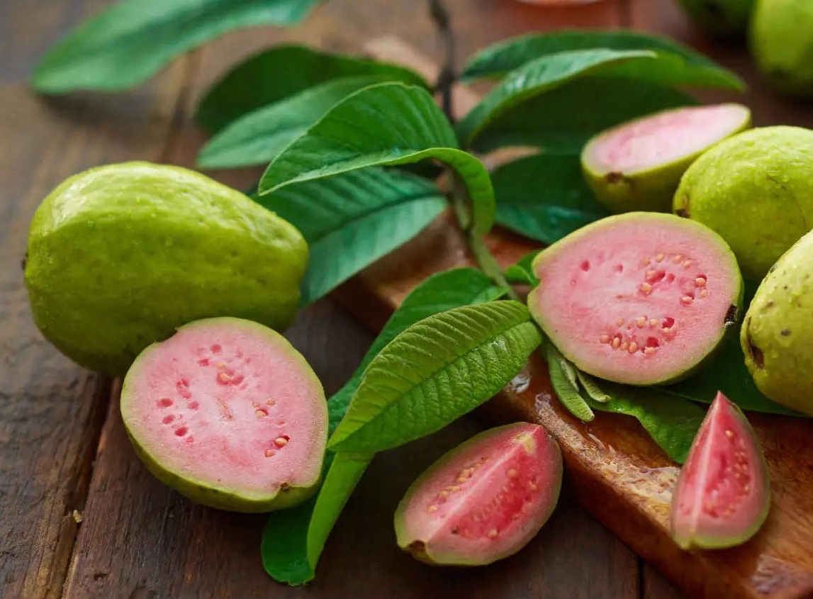 Trai cay mua dong anh 1