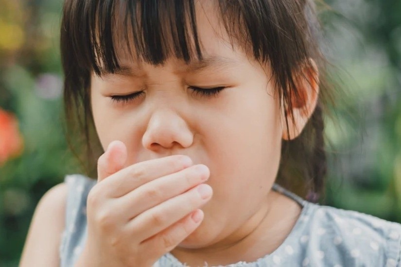 Ai co nguy co mac benh ho ga? hinh anh