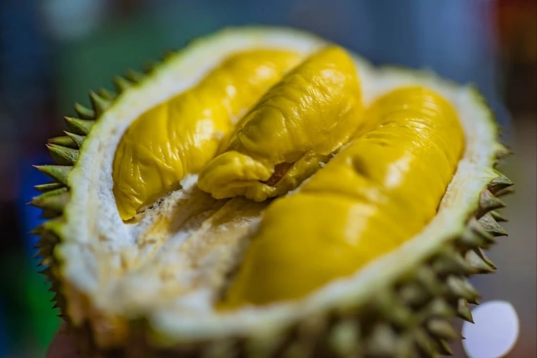 Giac ngu anh huong tim anh 3