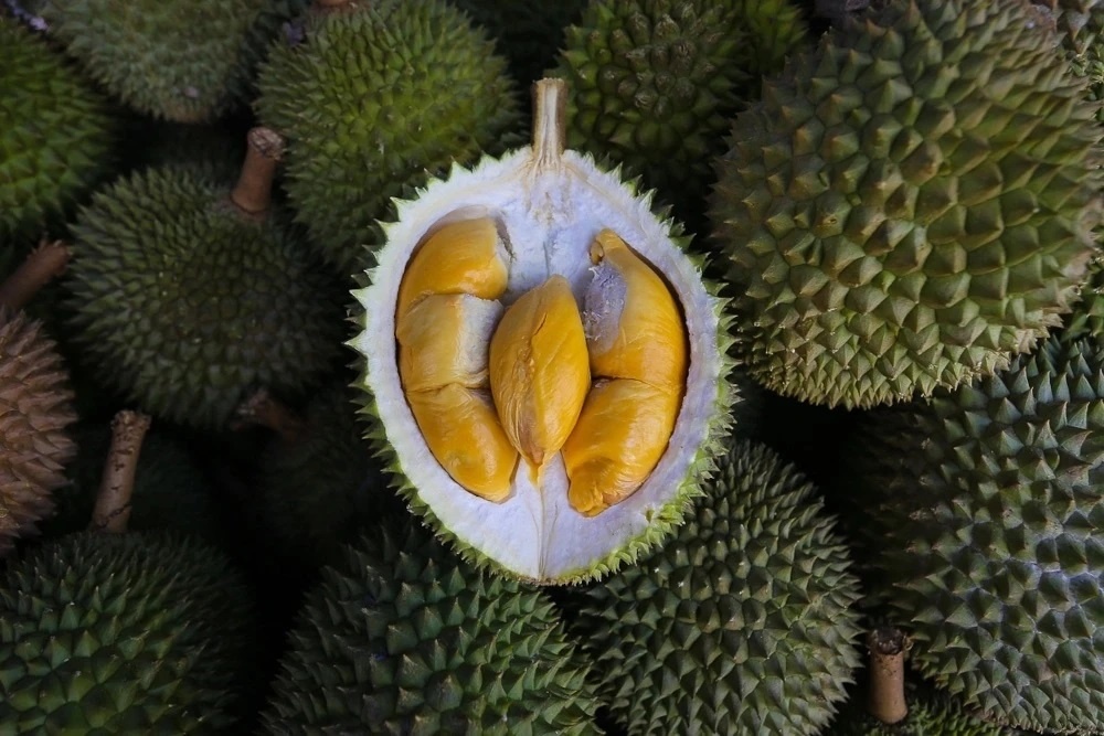 Giac ngu anh huong tim anh 5