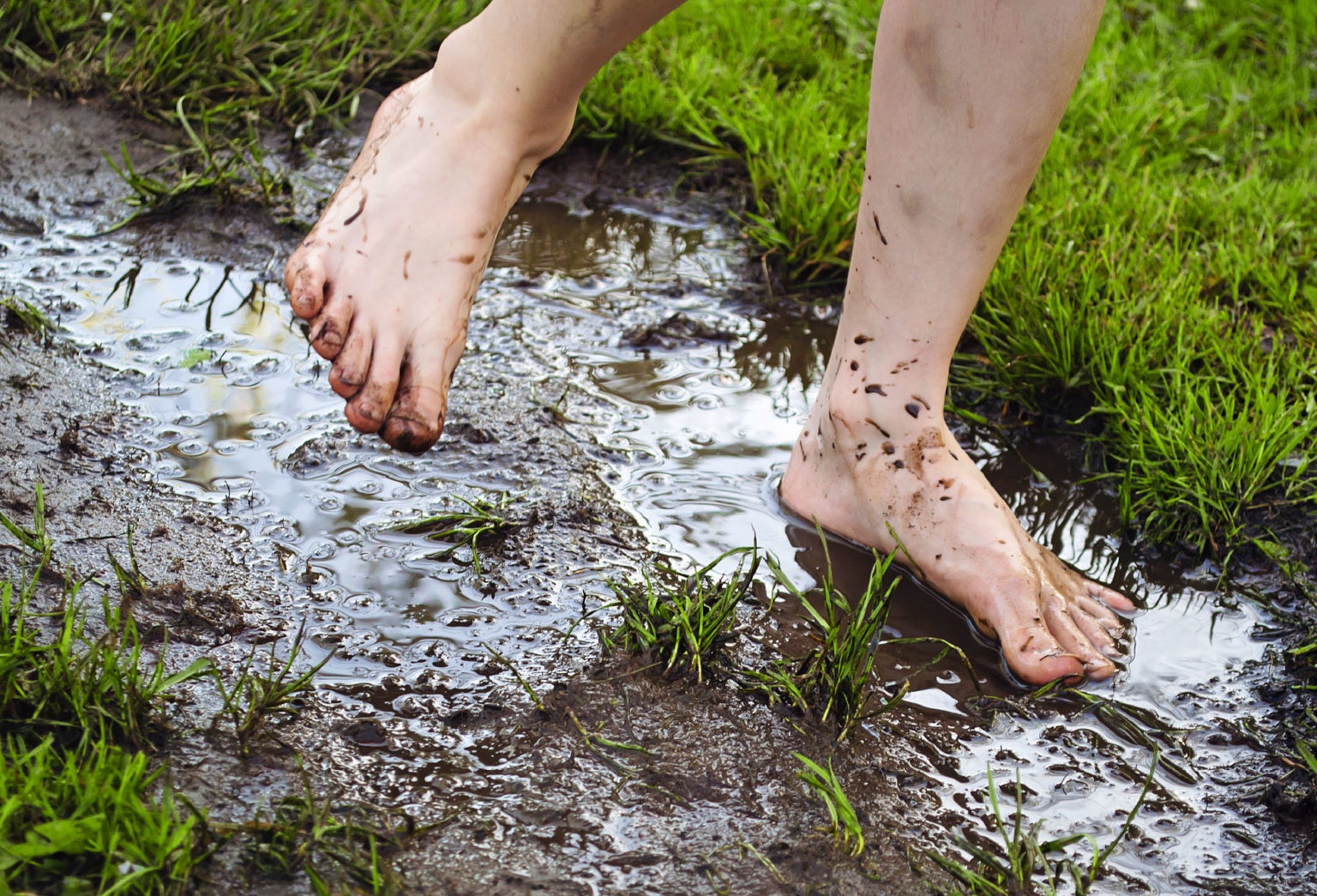 Ngua giun san ky sinh anh 1