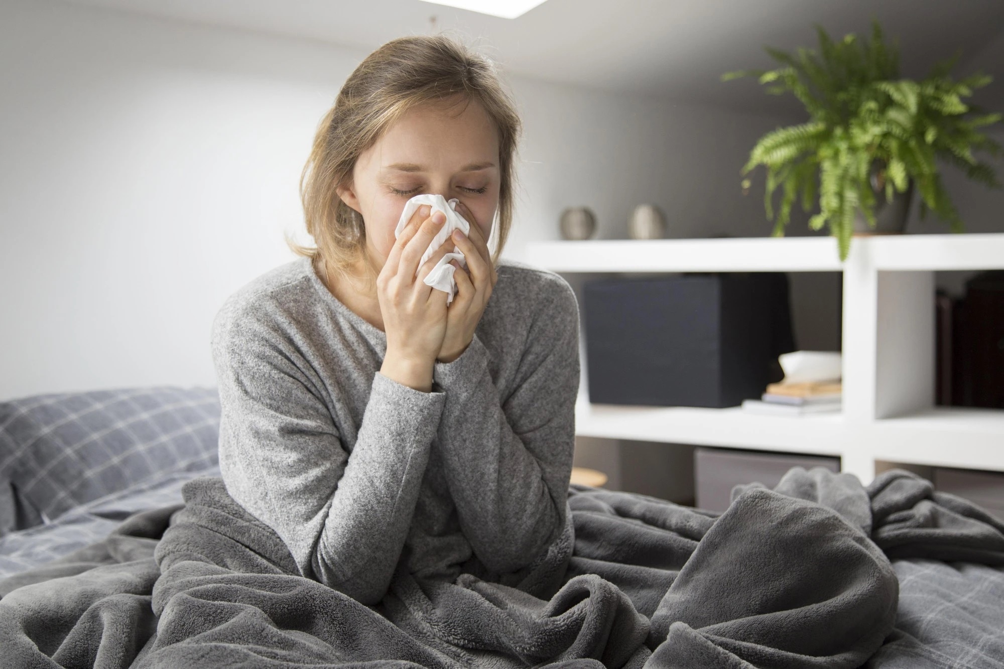 Loai virus cum pho bien nhat vao mua lanh hinh anh