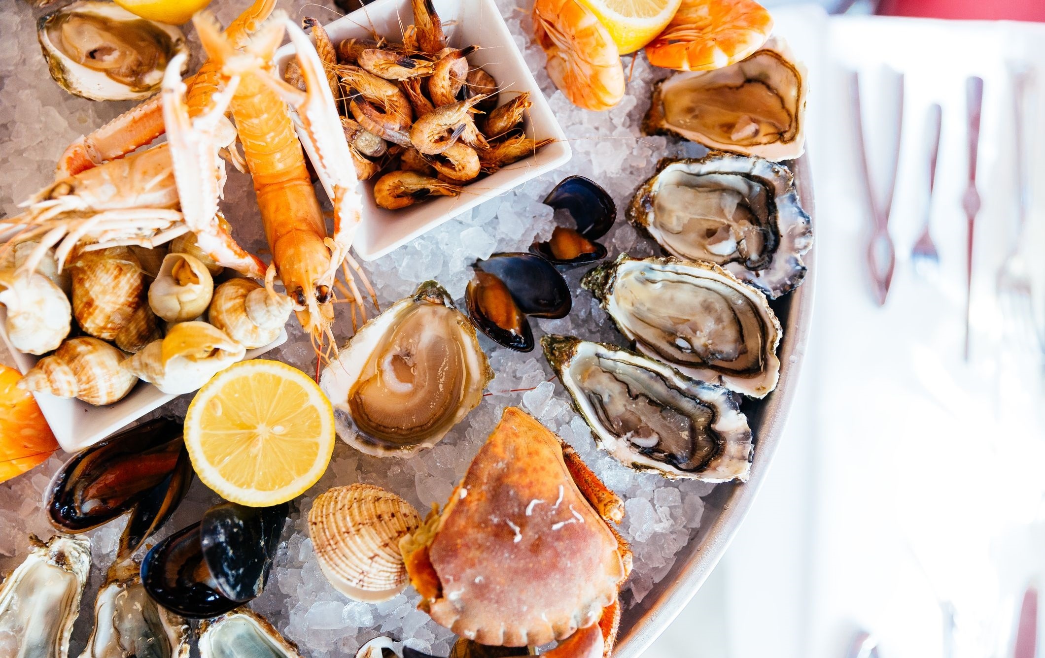 Vi khuan co trong hau anh 6