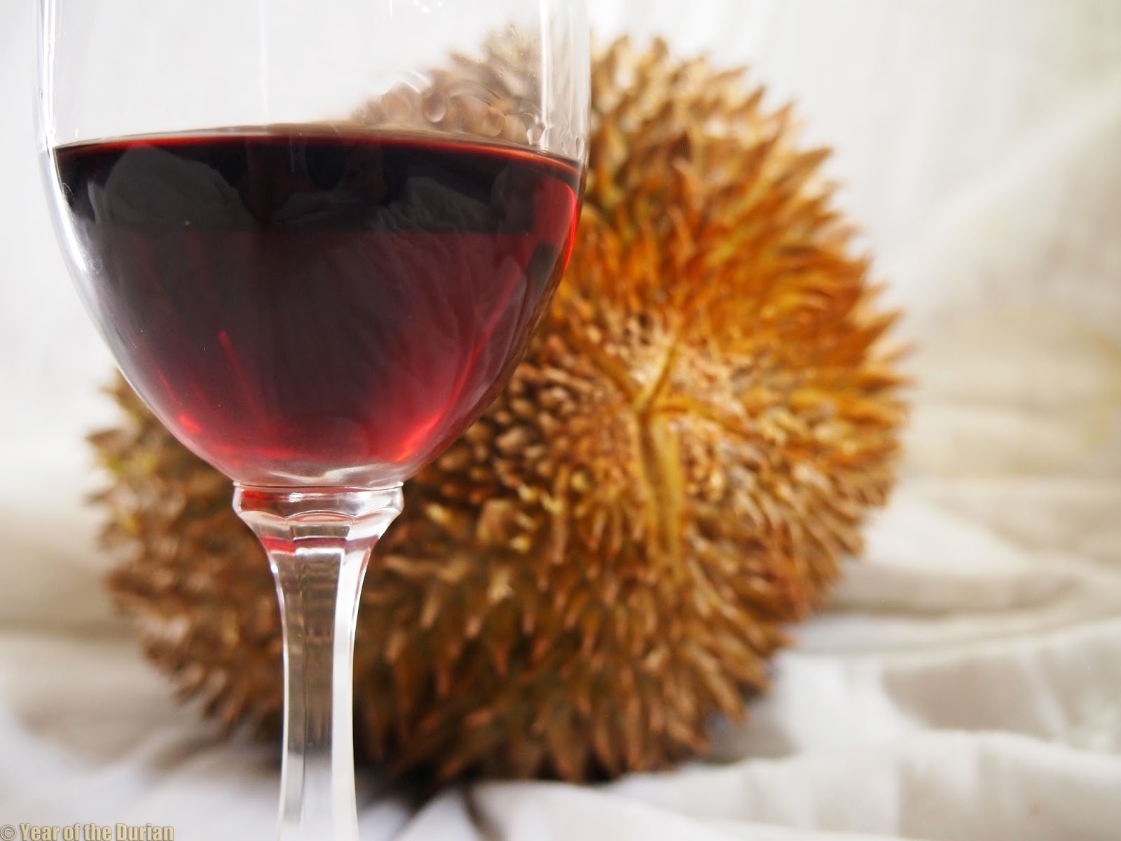 Loi ich cua sau rieng anh 4