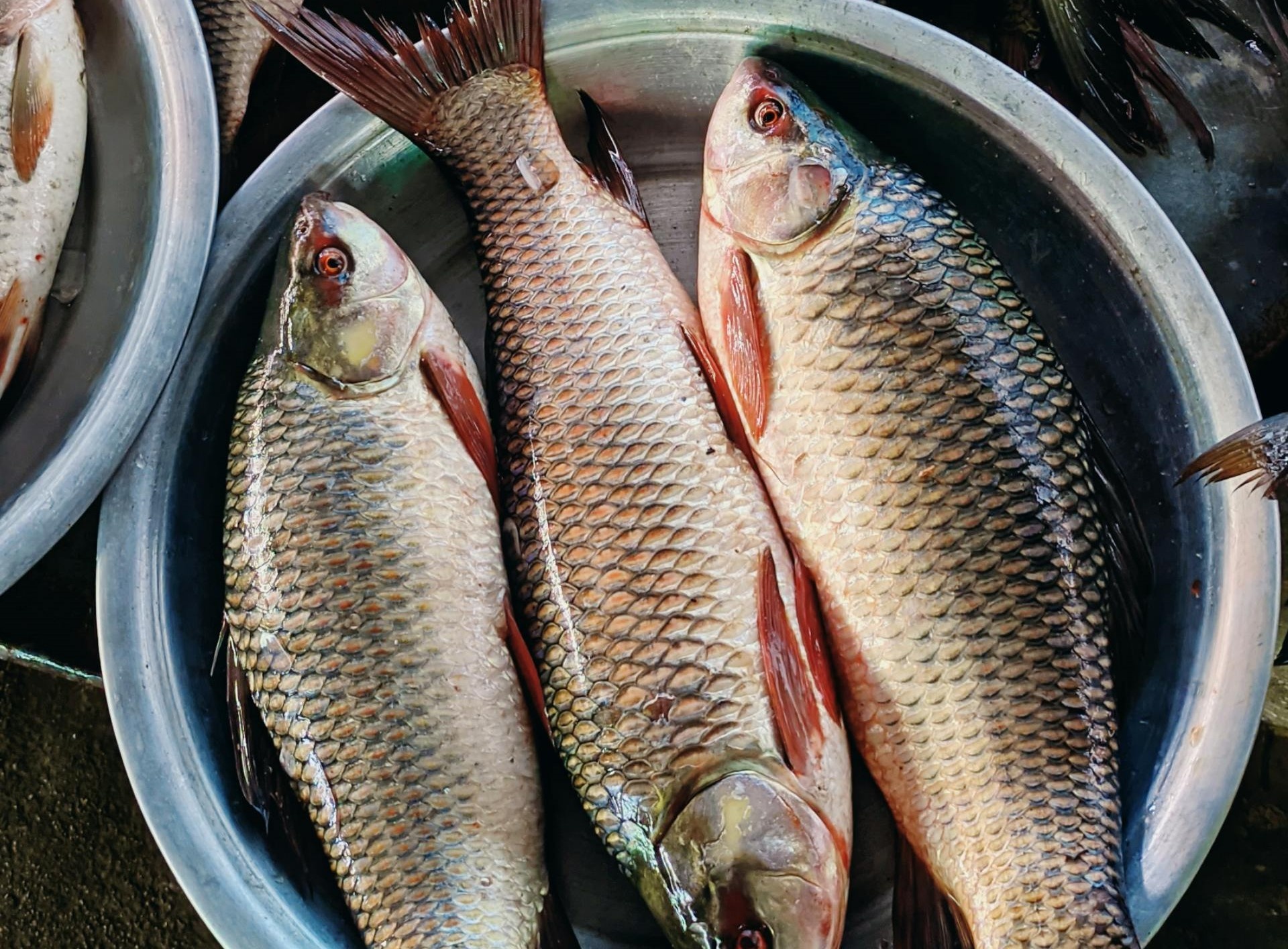 Nhung dieu cam ky khi an ca hinh anh
