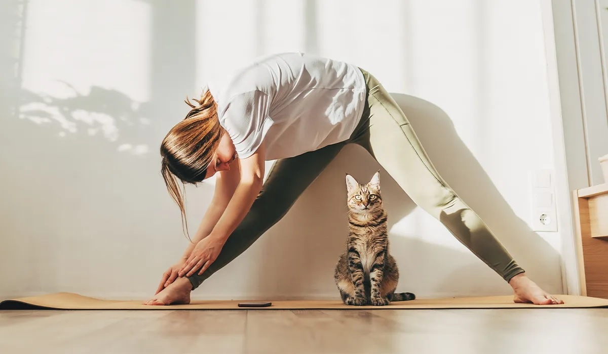 Thoi quen hang ngay cua nhung nguoi hiem khi bi om hinh anh