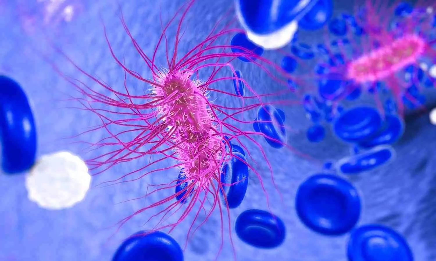 E. coli nguy hiem the nao? hinh anh