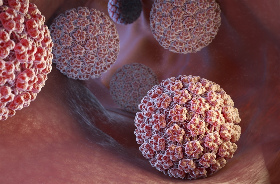 Dau hieu nhiem HPV anh 1