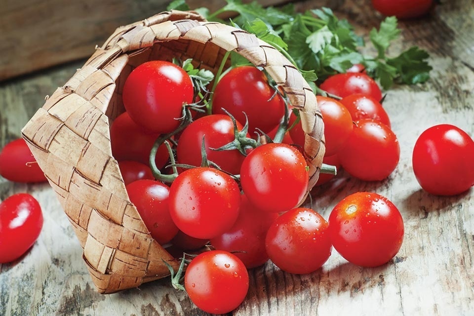 Bao quan thuc pham anh 2