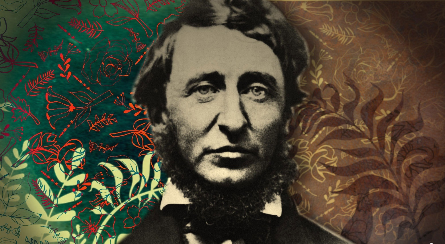 9 tac gia huyen thoai chi noi tieng sau khi qua doi hinh anh