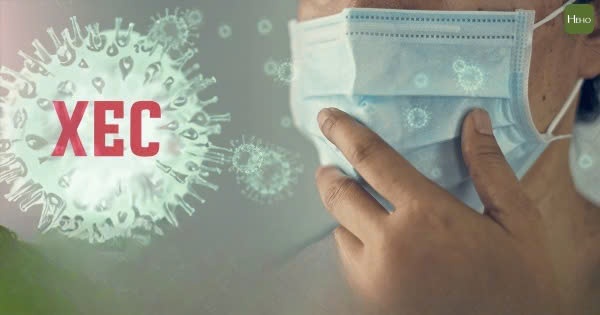 Dieu gi xay ra khi nhiem bien the Covid-19 XEC? hinh anh