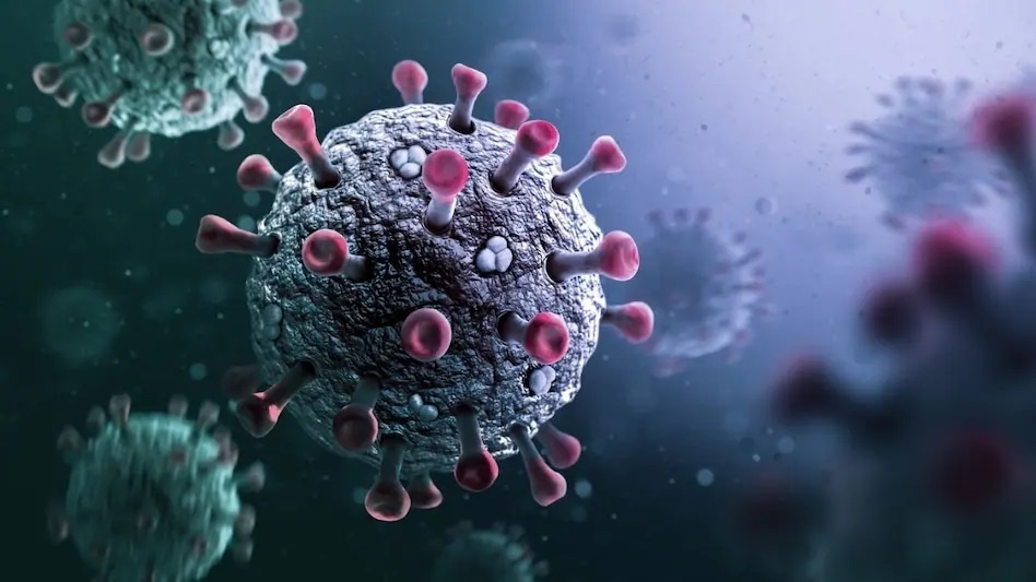 Dau hieu khi nhiem bien the  NB.1.8.1 luu hanh o TP.HCM hinh anh