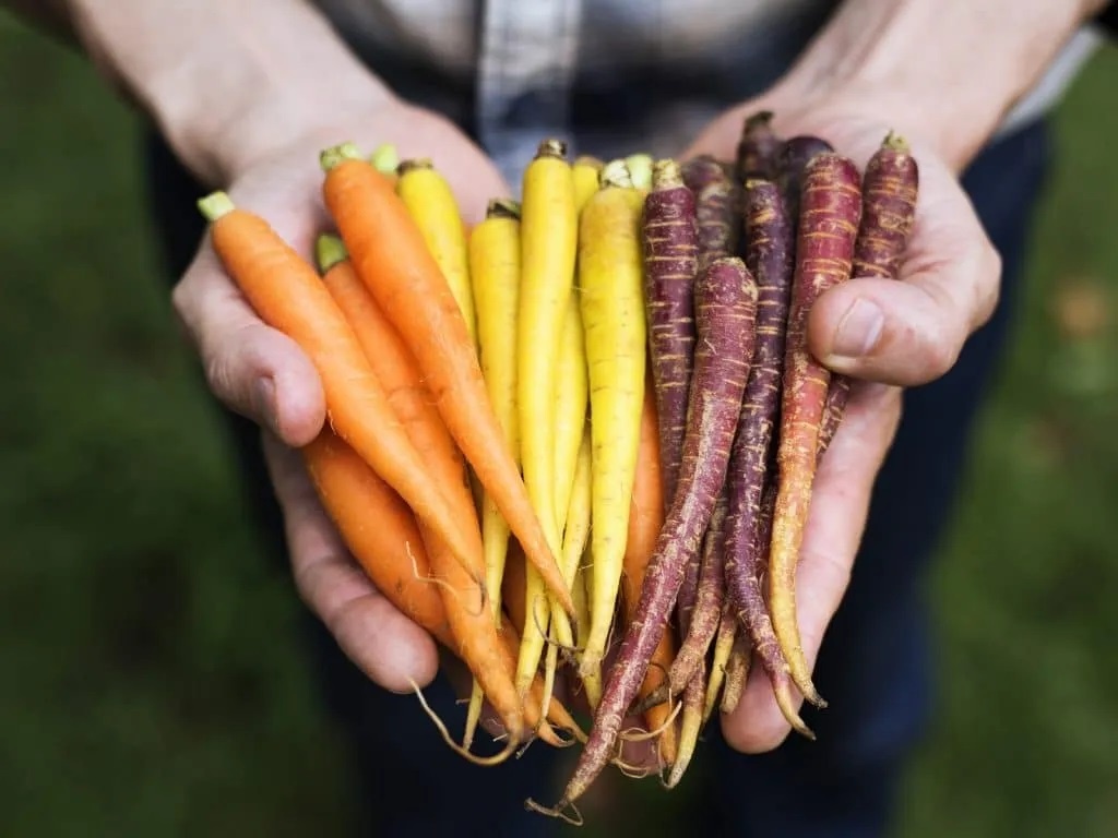 7 thuc pham cang an, mat cang sang khoe hinh anh