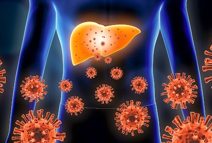 Benh viem gan C hinh anh