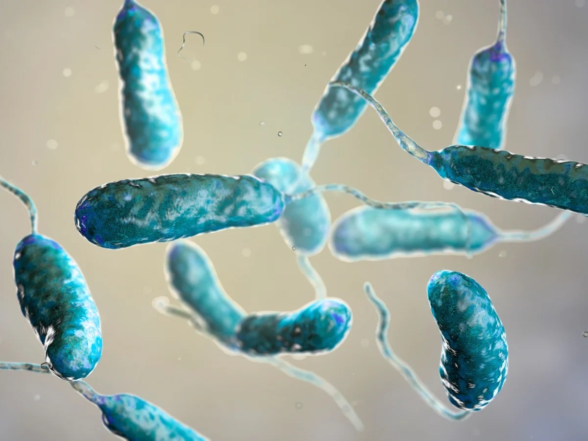 Can benh nguy hiem gia tang, 5 nguoi nhiem thi 1 khong qua khoi hinh anh