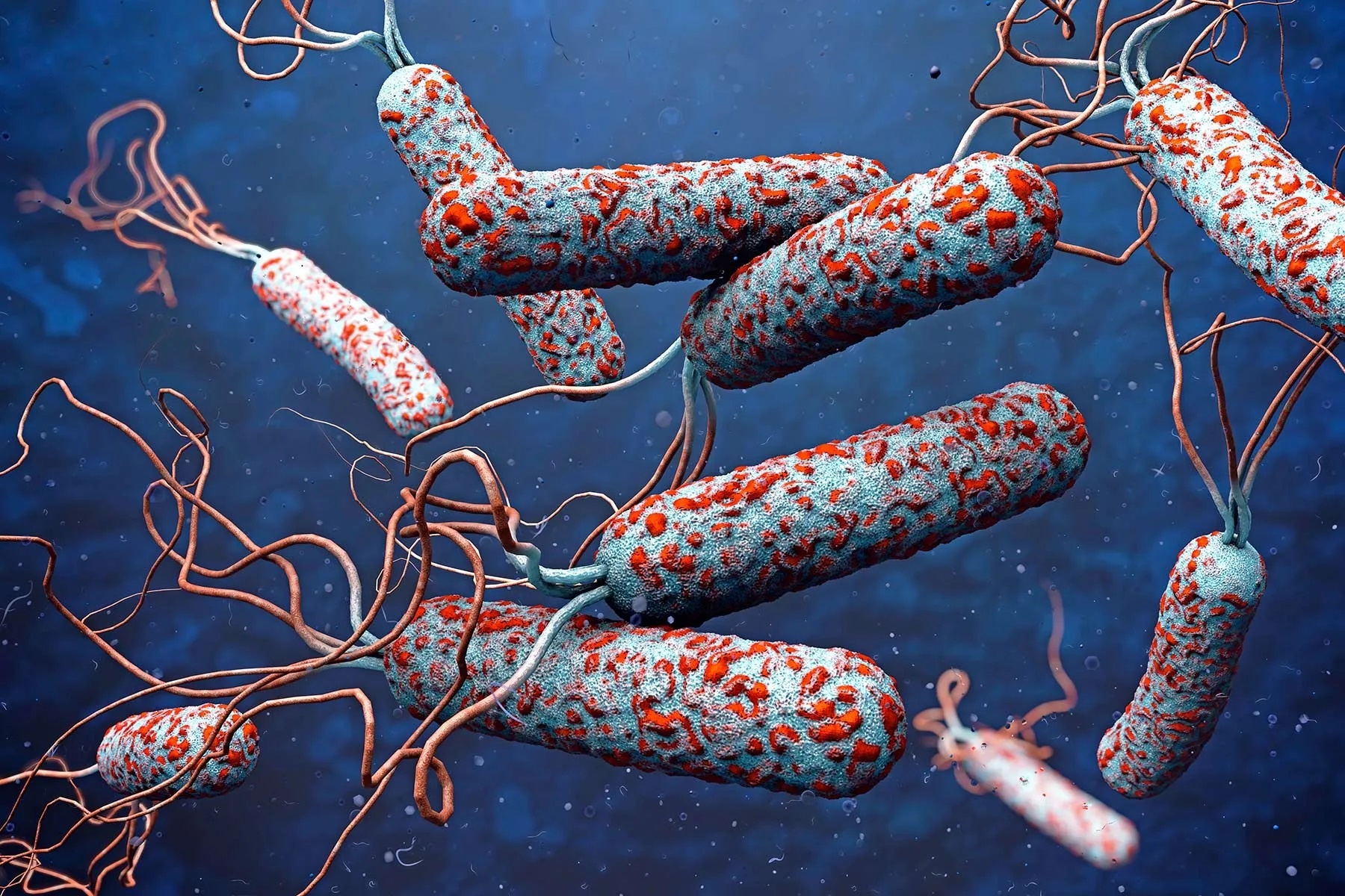 Benh ta bung phat tai nhieu nuoc, Bo Y te canh bao nguy co xam nhap hinh anh