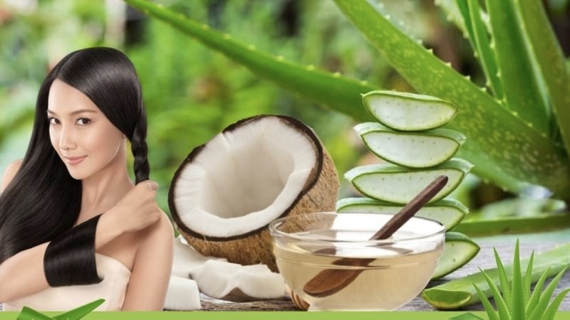 Loi ich cua nha dam anh 1