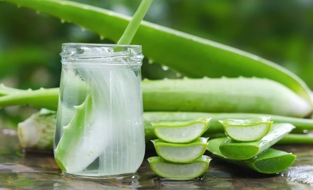 Loai la co tac dung phuc hoi toc hu ton chi sau vai lan goi dau hinh anh