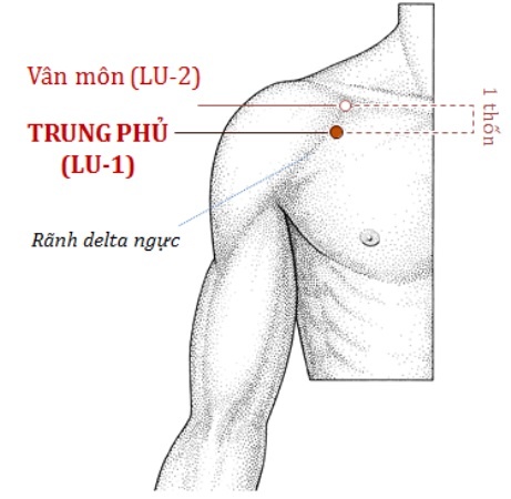 Tap duong sinh cho phoi anh 3