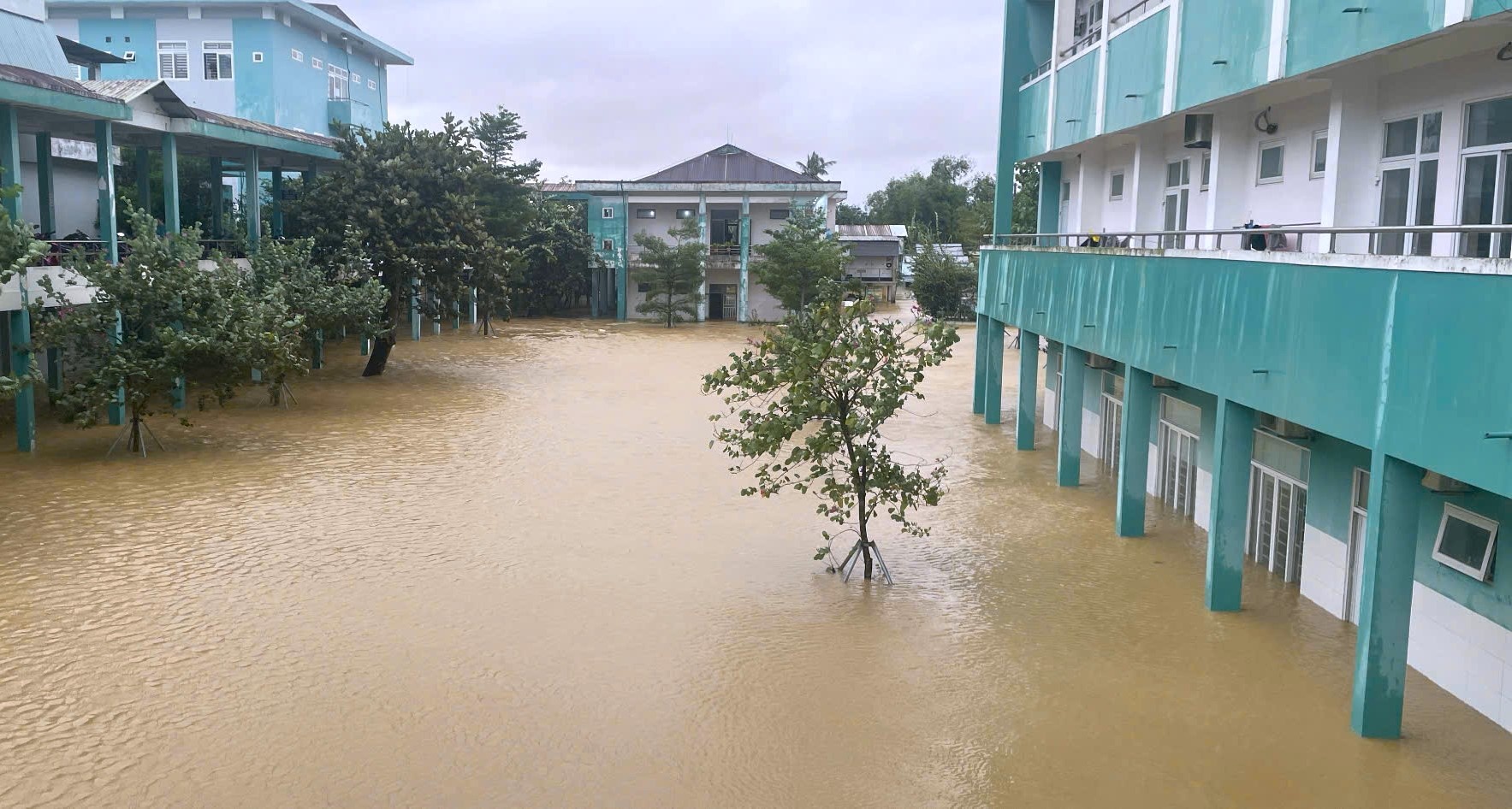 lu lut o Da Nang anh 5