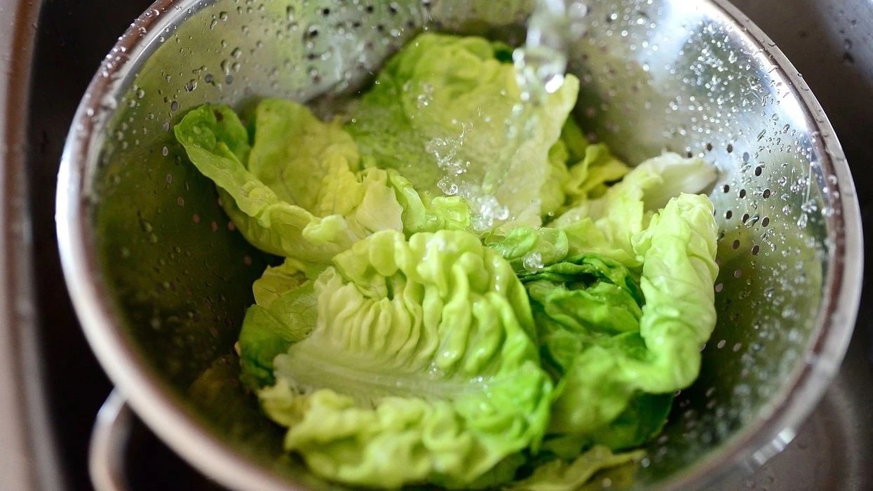 Rau chua ky sinh trung anh 6