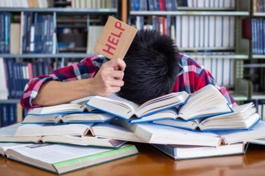 Vi sao hoc mai khong vao dau? hinh anh