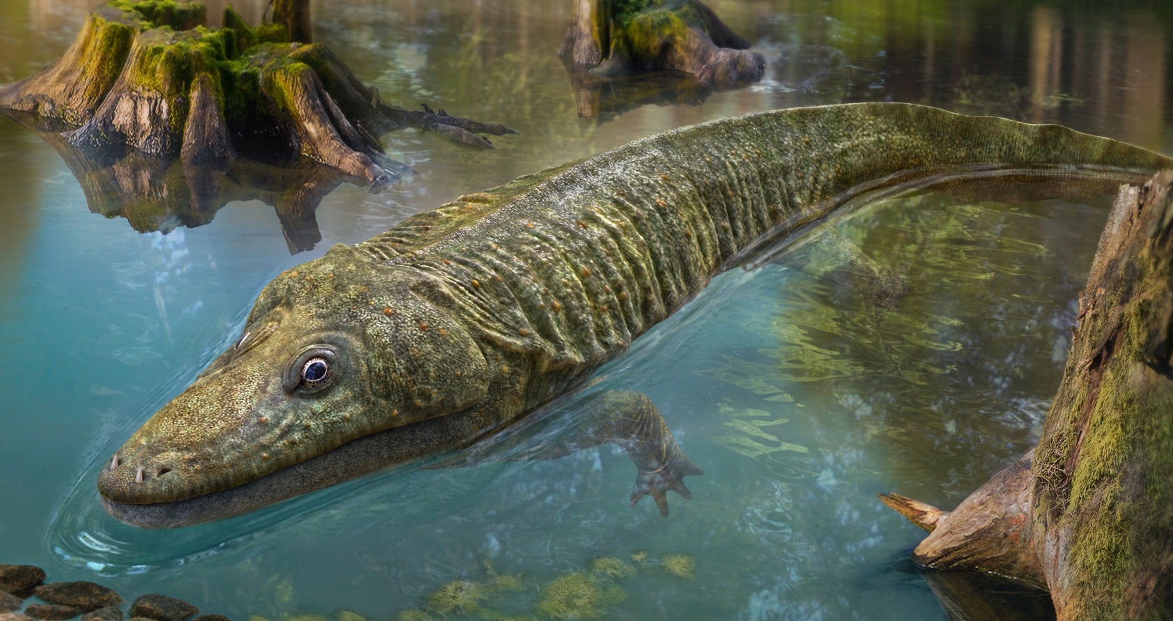 Loai luong cu tien su nua ca nua ech tung la 'quai vat dam lay' hinh anh