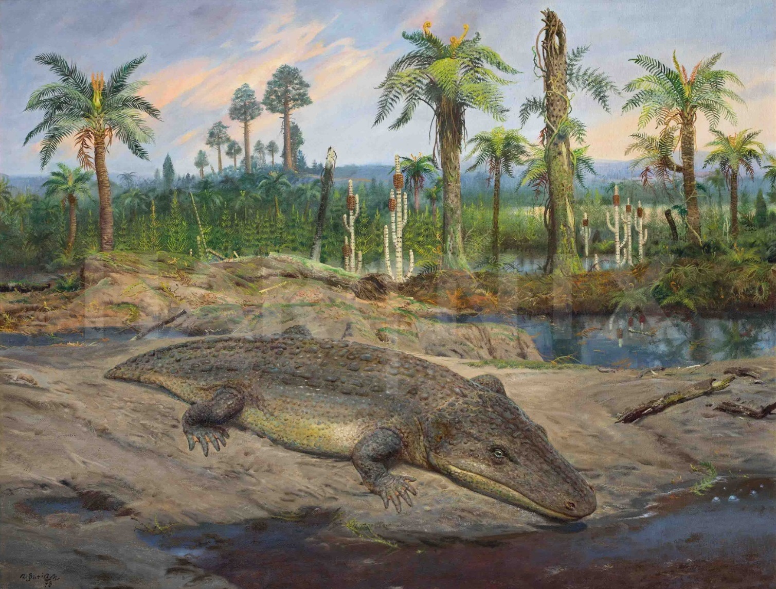 Quai vat dam lay anh 1